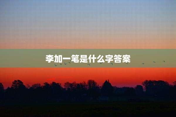 李加一笔是什么字答案