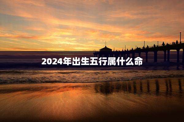 2024年出生五行属什么命