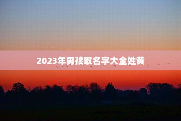 2023年男孩取名字大全姓黄