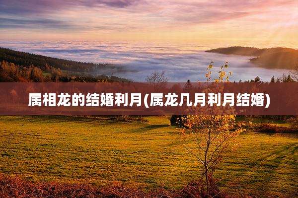 属相龙的结婚利月(属龙几月利月结婚)