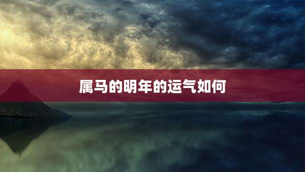 属马的明年的运气如何