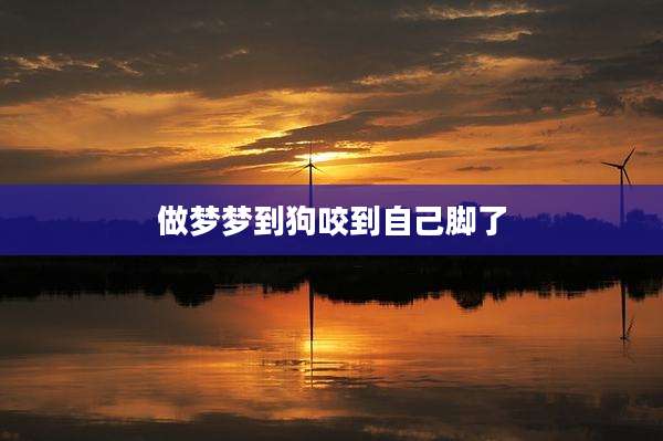 做梦梦到狗咬到自己脚了