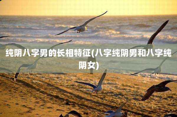 纯阴八字男的长相特征(八字纯阴男和八字纯阴女)