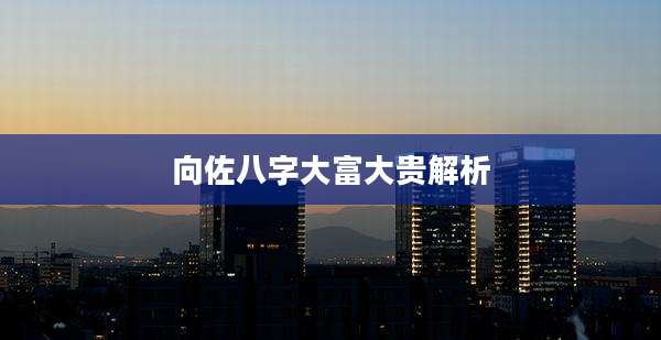 向佐八字大富大贵解析