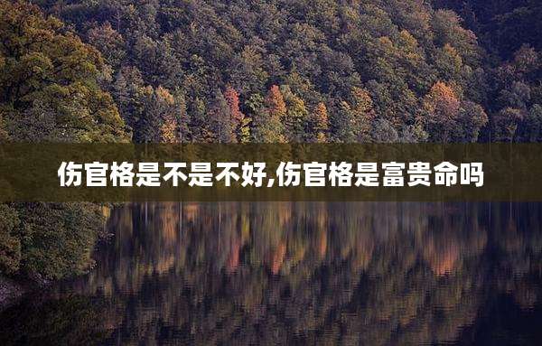 伤官格是不是不好,伤官格是富贵命吗