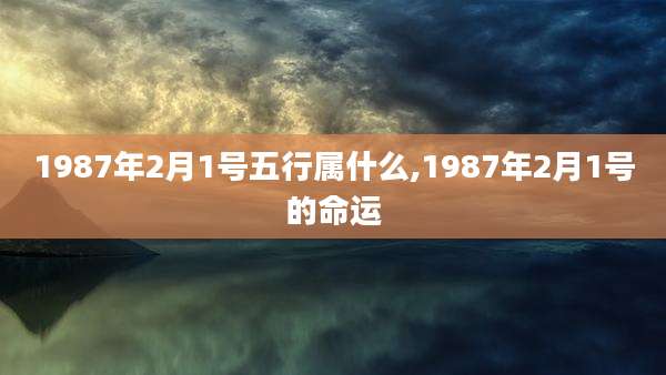 1987年2月1号五行属什么,1987年2月1号的命运