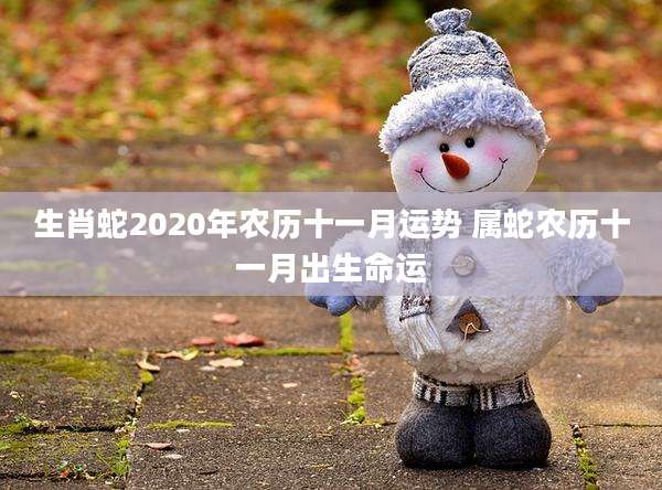 生肖蛇2020年农历十一月运势 属蛇农历十一月出生命运