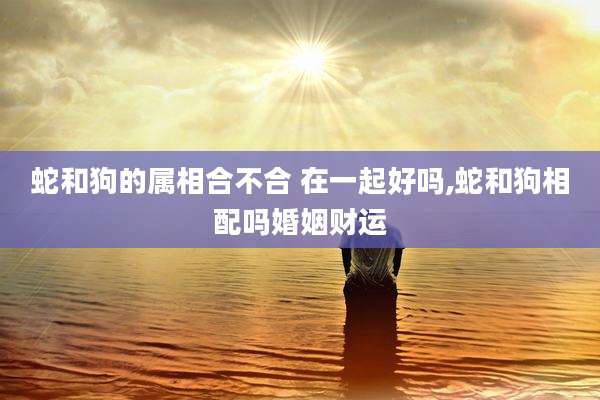 蛇和狗的属相合不合 在一起好吗,蛇和狗相配吗婚姻财运