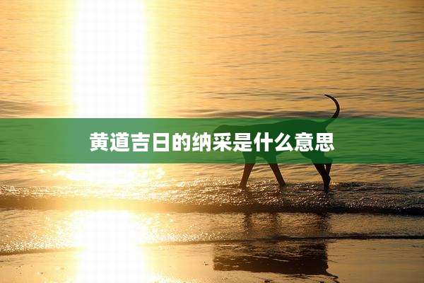 黄道吉日的纳采是什么意思