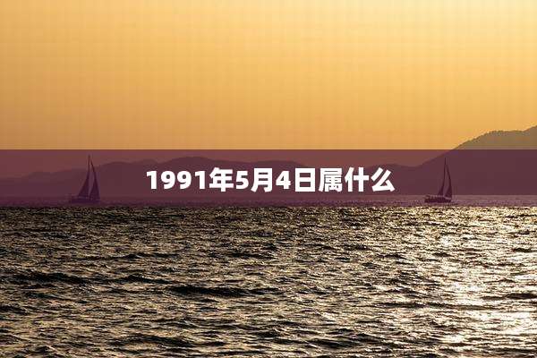1991年5月4日属什么