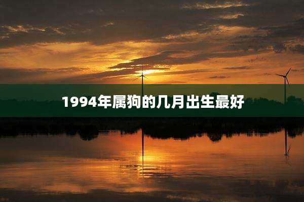 1994年属狗的几月出生最好