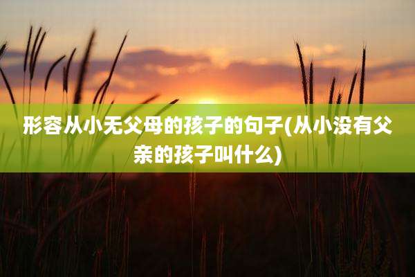 形容从小无父母的孩子的句子(从小没有父亲的孩子叫什么)