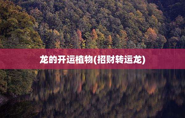 龙的开运植物(招财转运龙)