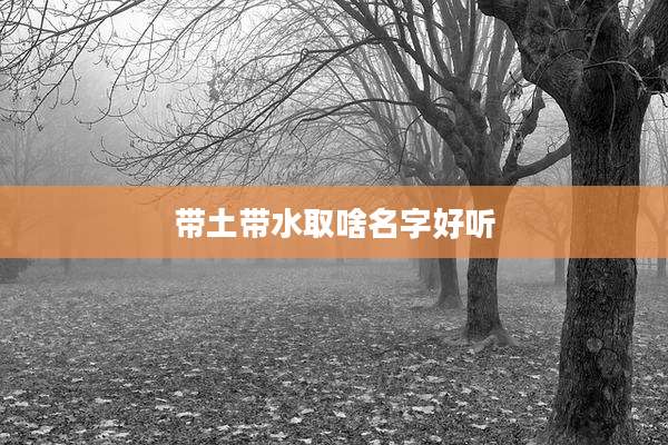 带土带水取啥名字好听