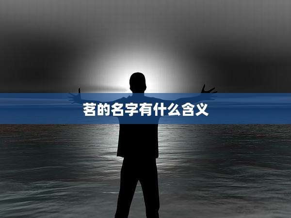 茗的名字有什么含义