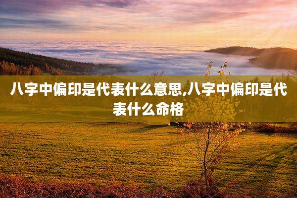 八字中偏印是代表什么意思,八字中偏印是代表什么命格