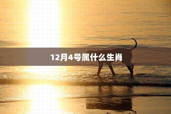 12月4号属什么生肖