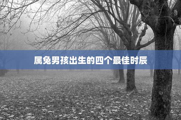 属兔男孩出生的四个最佳时辰