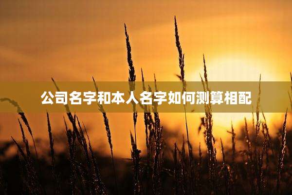公司名字和本人名字如何测算相配
