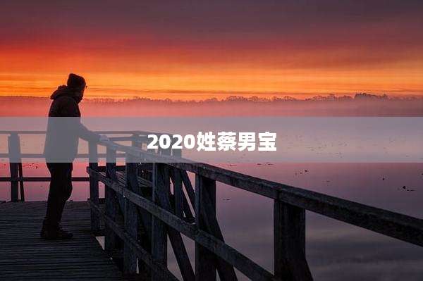 2020姓蔡男宝