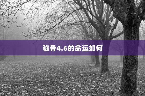 称骨4.6的命运如何