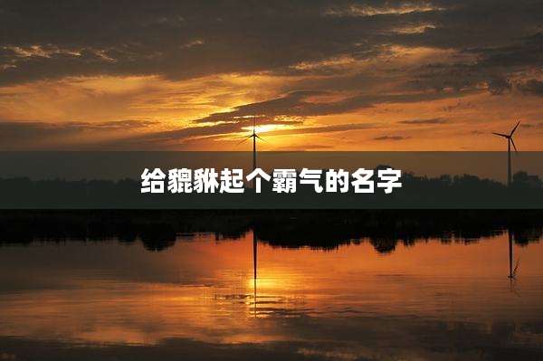 给貔貅起个霸气的名字