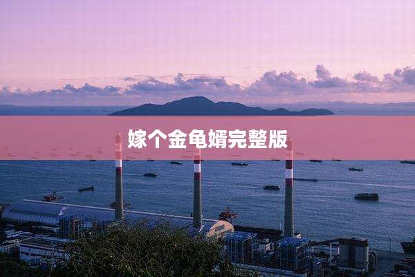 嫁个金龟婿完整版
