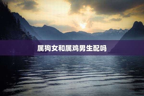 属狗女和属鸡男生配吗