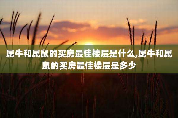 属牛和属鼠的买房最佳楼层是什么,属牛和属鼠的买房最佳楼层是多少