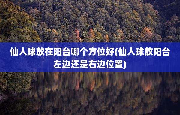 仙人球放在阳台哪个方位好(仙人球放阳台左边还是右边位置)