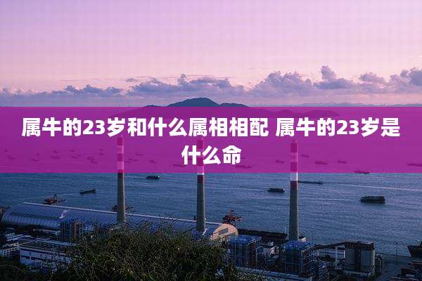 属牛的23岁和什么属相相配 属牛的23岁是什么命
