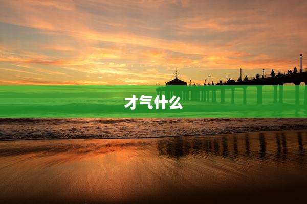 才气什么