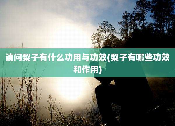 请问梨子有什么功用与功效(梨子有哪些功效和作用)