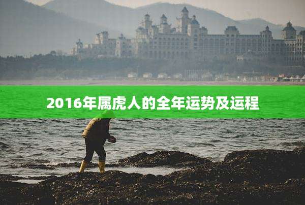 2016年属虎人的全年运势及运程