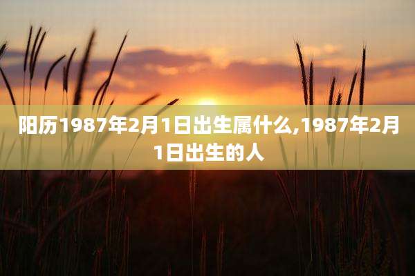 阳历1987年2月1日出生属什么,1987年2月1日出生的人