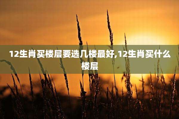 12生肖买楼层要选几楼最好,12生肖买什么楼层