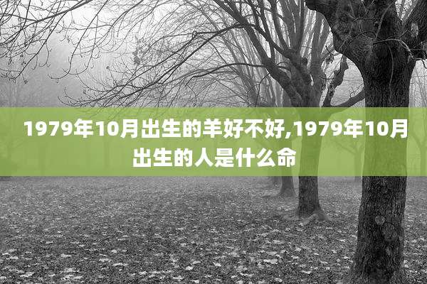 1979年10月出生的羊好不好,1979年10月出生的人是什么命