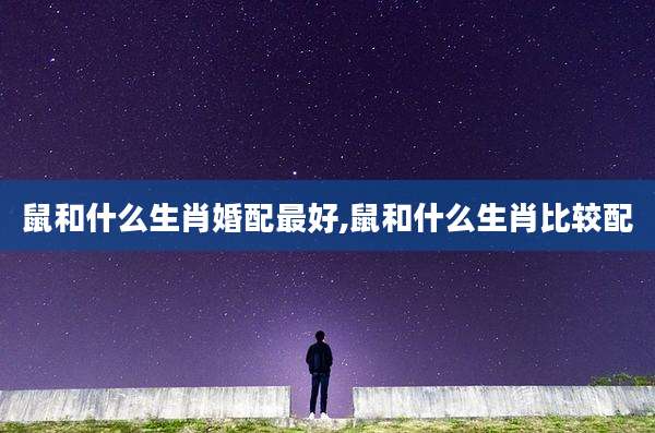 鼠和什么生肖婚配最好,鼠和什么生肖比较配