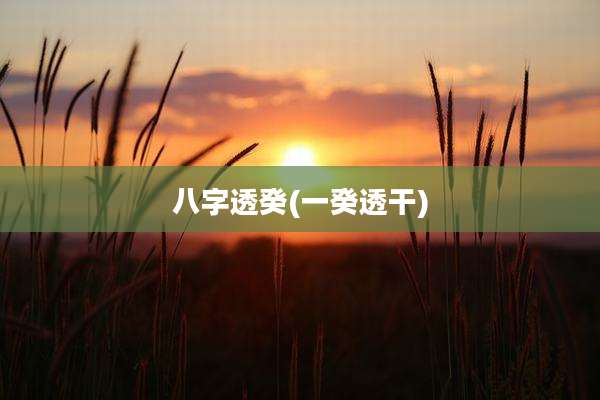八字透癸(一癸透干)