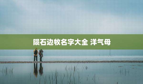陨石边牧名字大全 洋气母