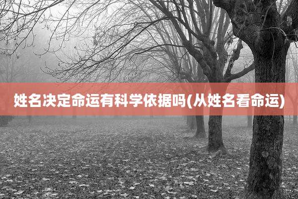 姓名决定命运有科学依据吗(从姓名看命运)