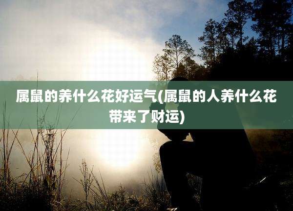 属鼠的养什么花好运气(属鼠的人养什么花带来了财运)