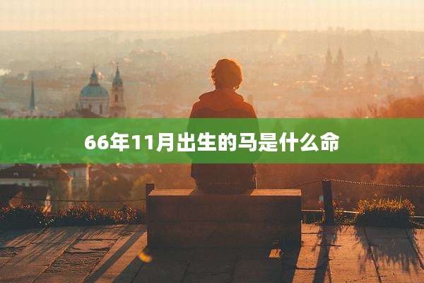 66年11月出生的马是什么命