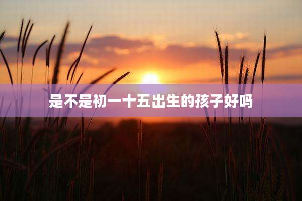 是不是初一十五出生的孩子好吗