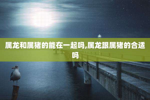 属龙和属猪的能在一起吗,属龙跟属猪的合适吗