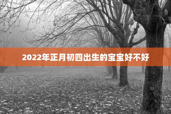 2022年正月初四出生的宝宝好不好