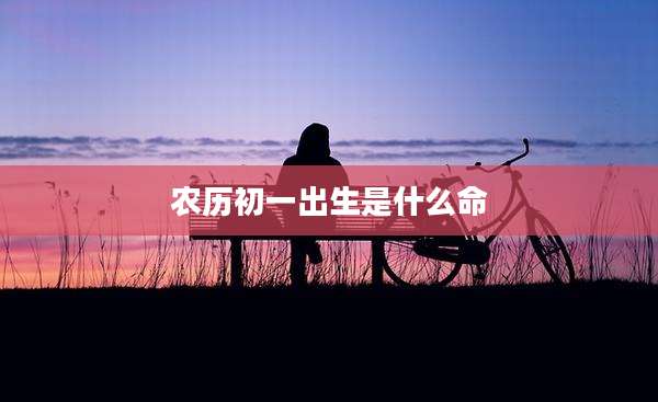 农历初一出生是什么命