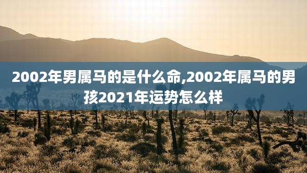 2002年男属马的是什么命,2002年属马的男孩2021年运势怎么样