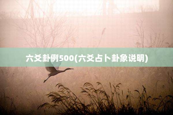 六爻卦例500(六爻占卜卦象说明)