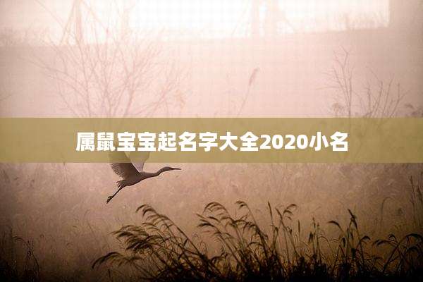 属鼠宝宝起名字大全2020小名
